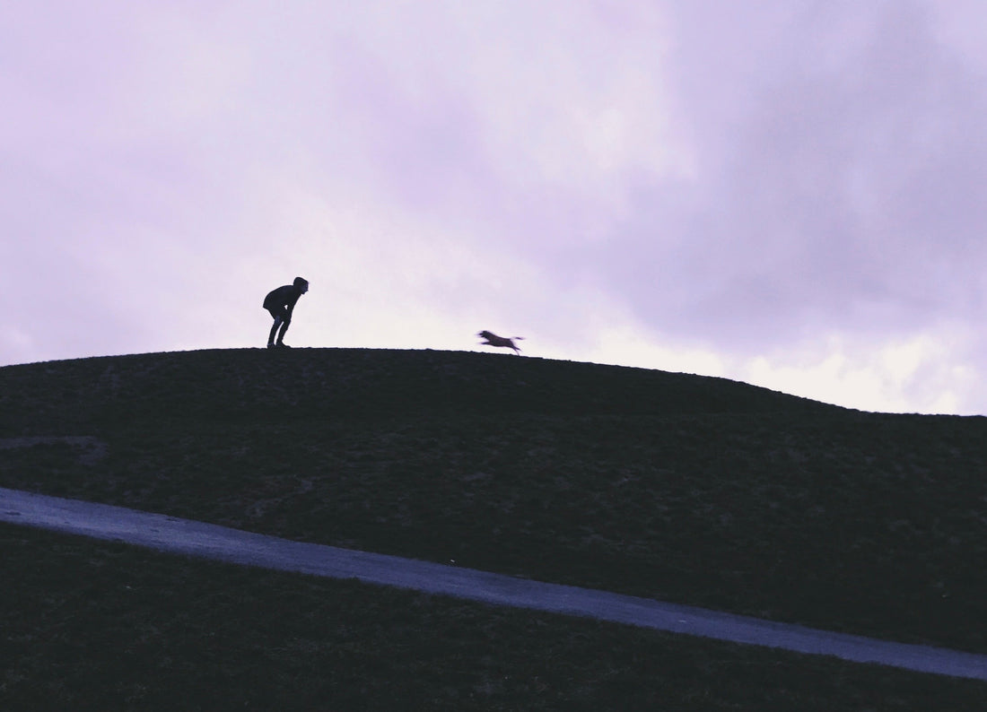 We’re Now Open 🌍